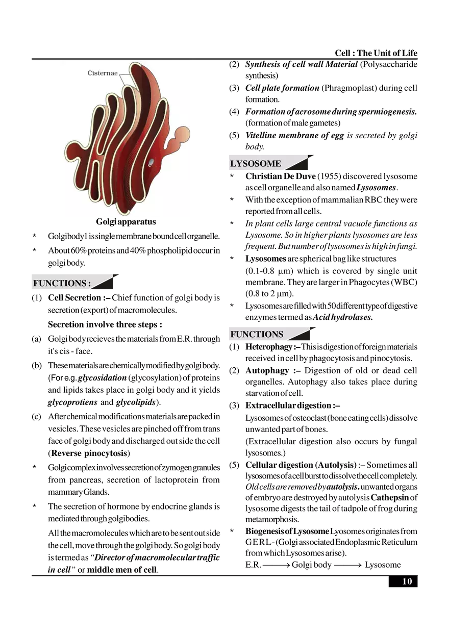 Cell  The Unit of Life - Page 20