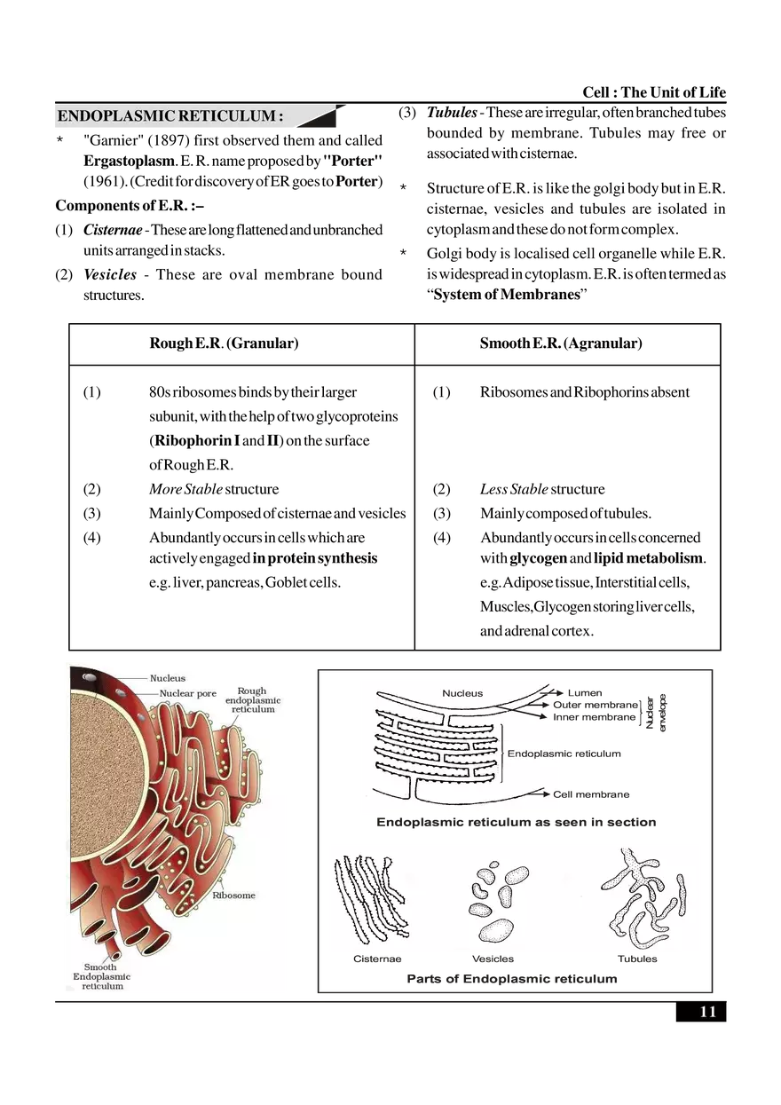 Cell  The Unit of Life - Page 3