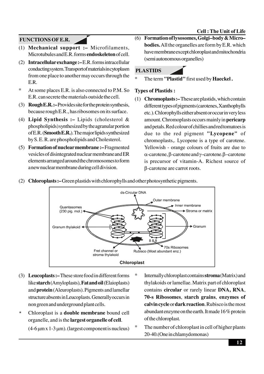 Cell  The Unit of Life - Page 4