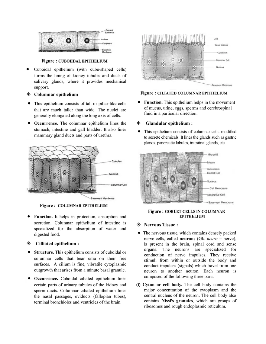 Tissue Notes - Page 7