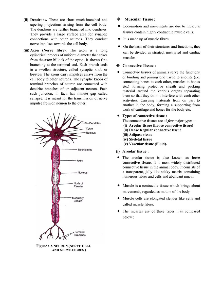 Tissue Notes - Page 8