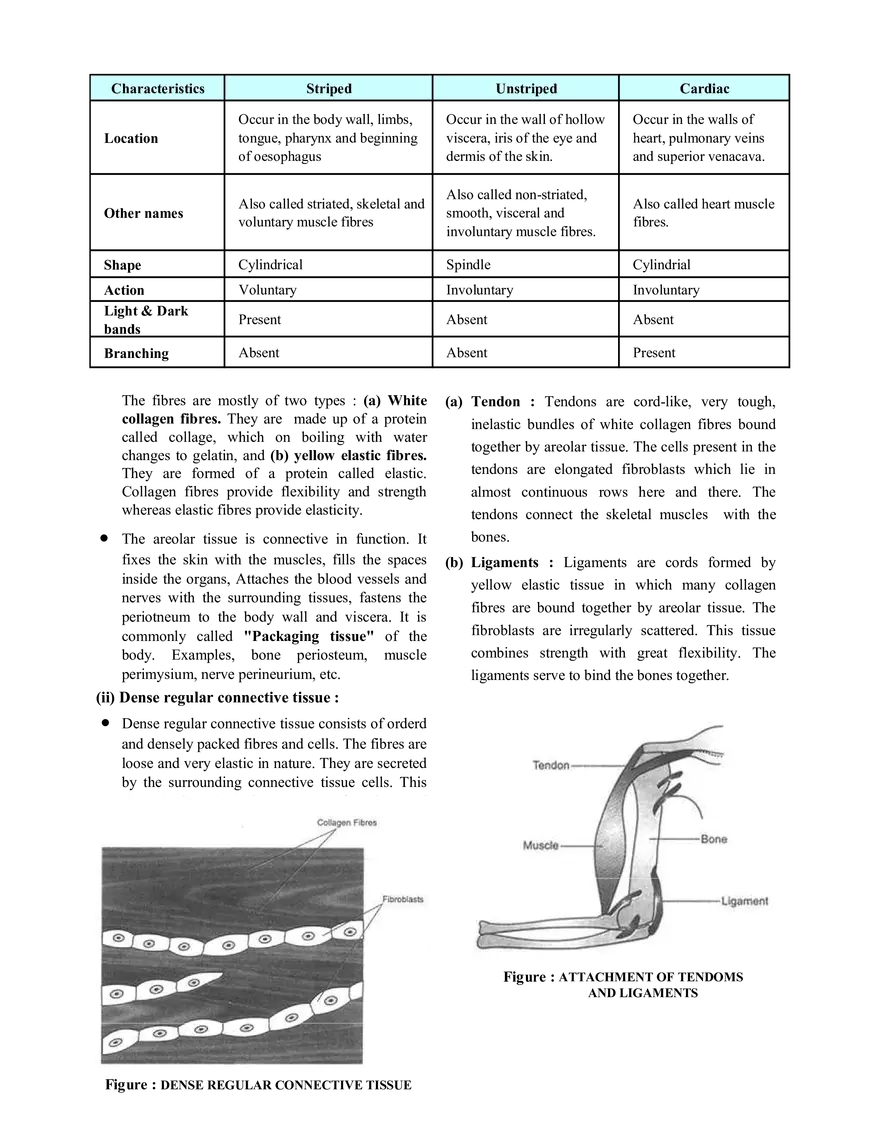 Tissue Notes - Page 9