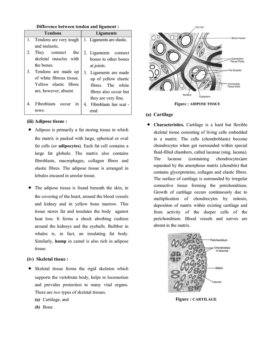 Tissue Notes - Page 10