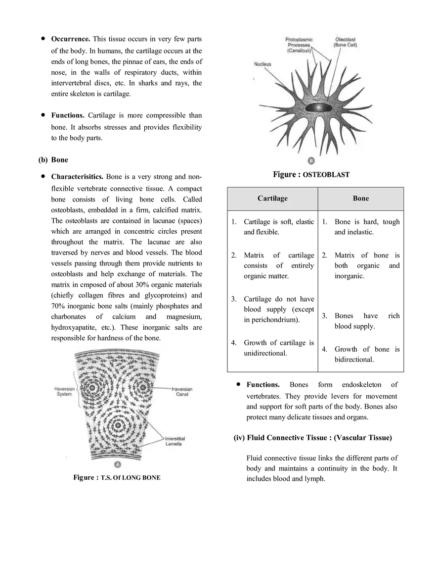 Tissue Notes - Page 11