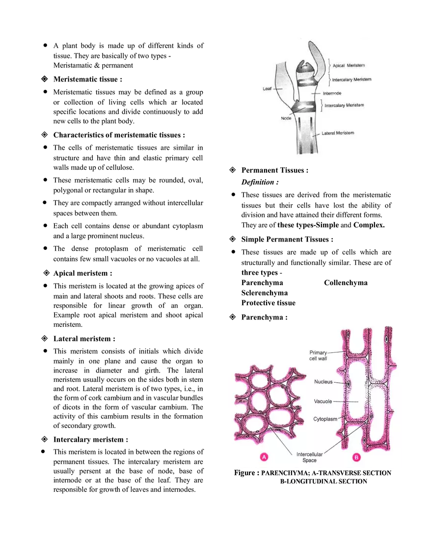 Tissue Notes - Page 2