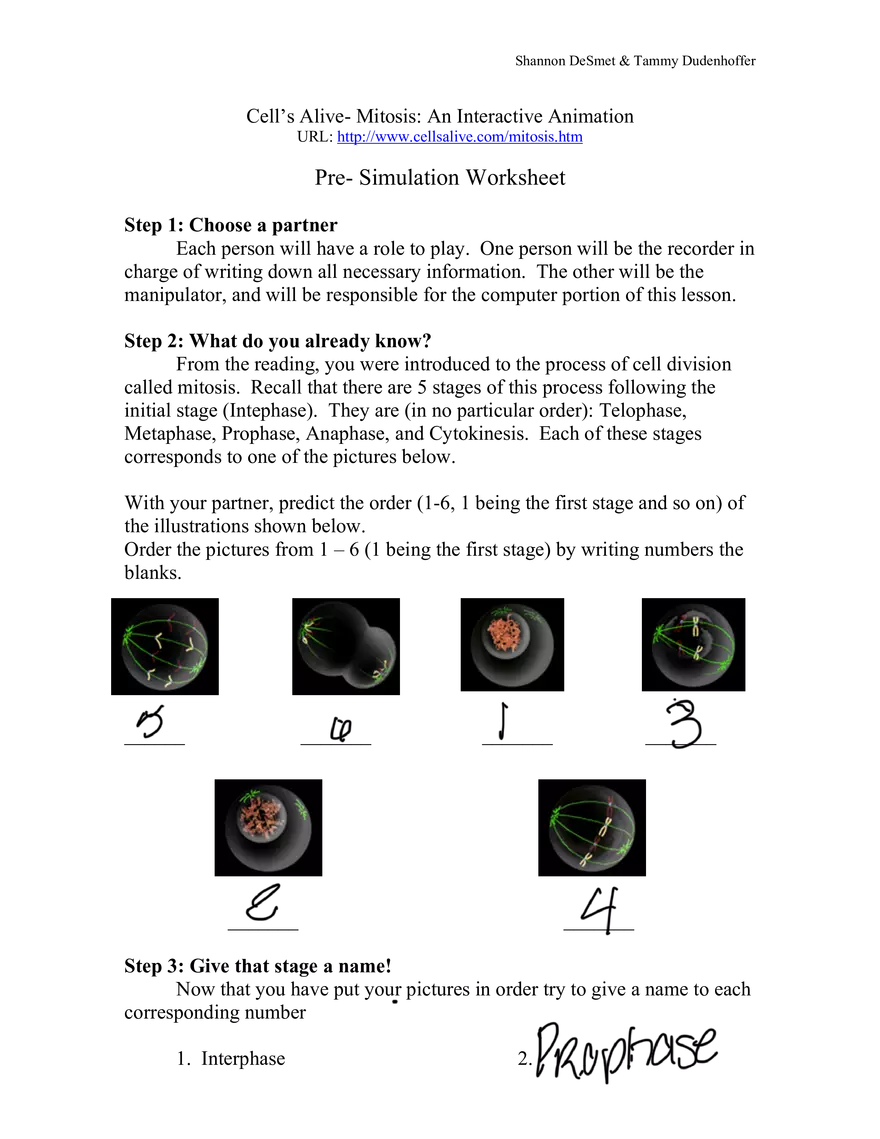 Cell’s Alive- Mitosis: An Interactive Animation - Page 1