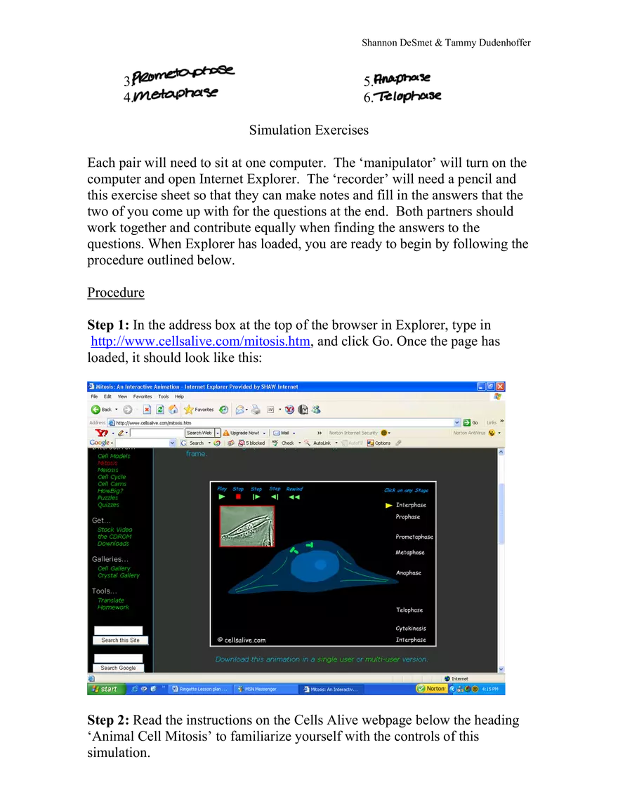 Cell’s Alive- Mitosis: An Interactive Animation - Page 2