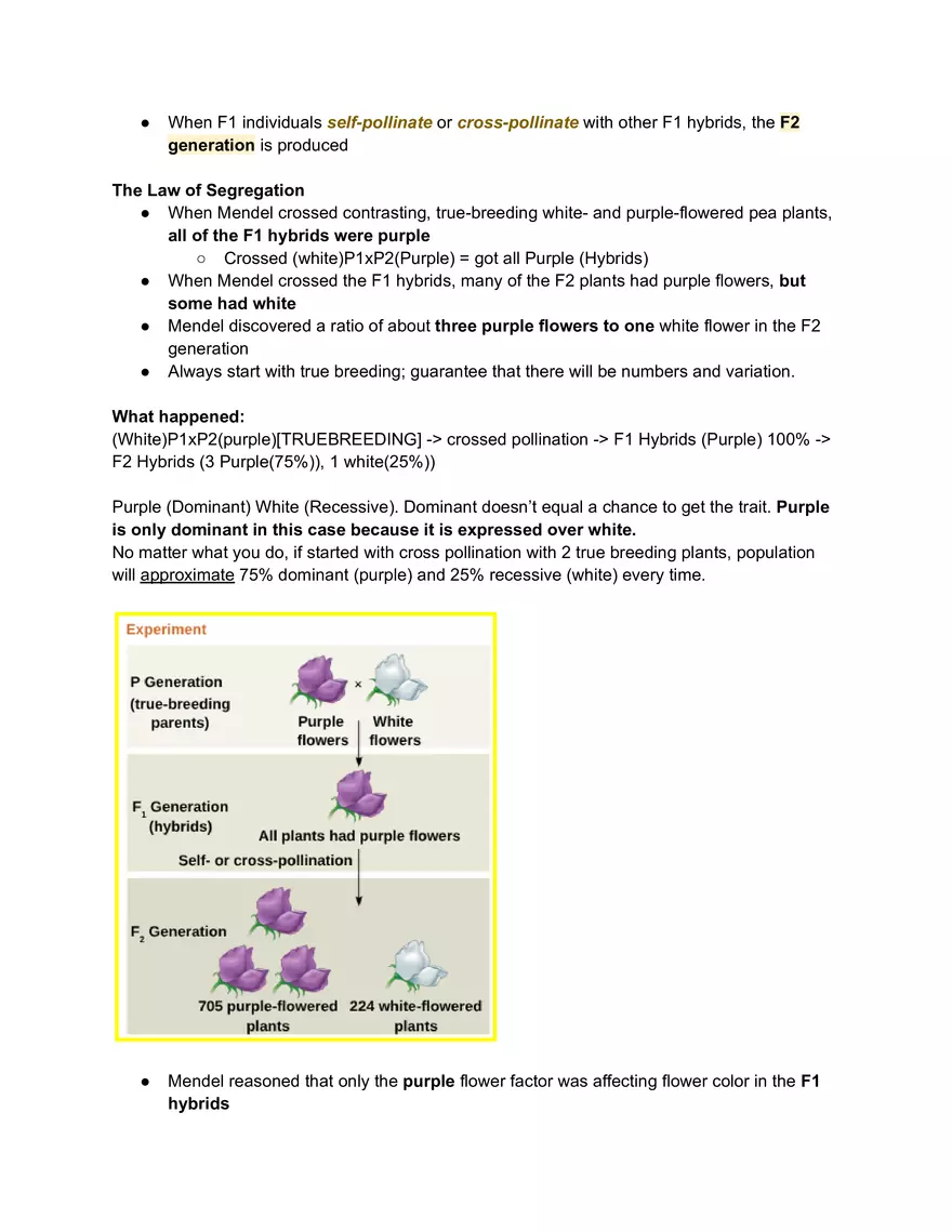 Meiosis and the Sexual Life Cycle - Page 8