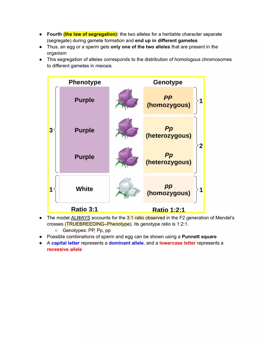 Meiosis and the Sexual Life Cycle - Page 10