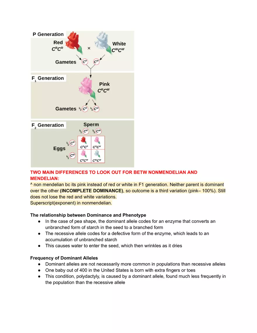 Meiosis and the Sexual Life Cycle - Page 17