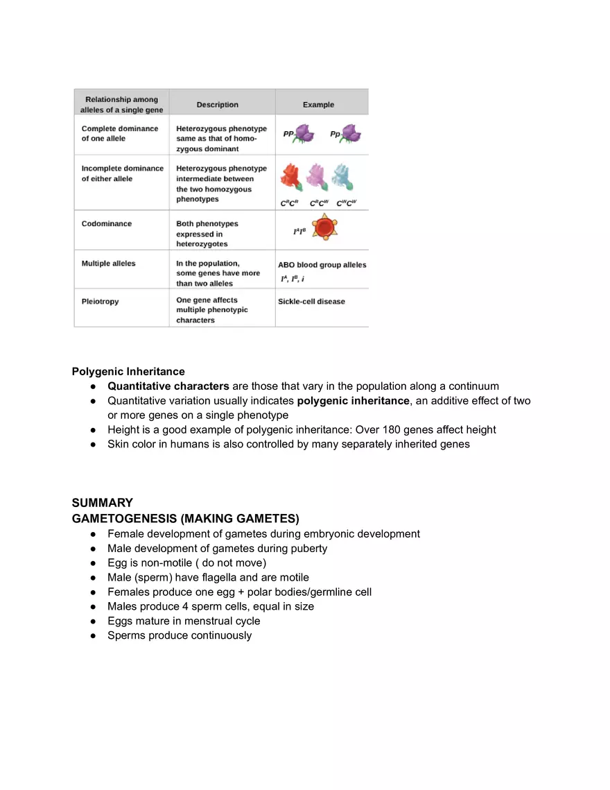 Meiosis and the Sexual Life Cycle - Page 19