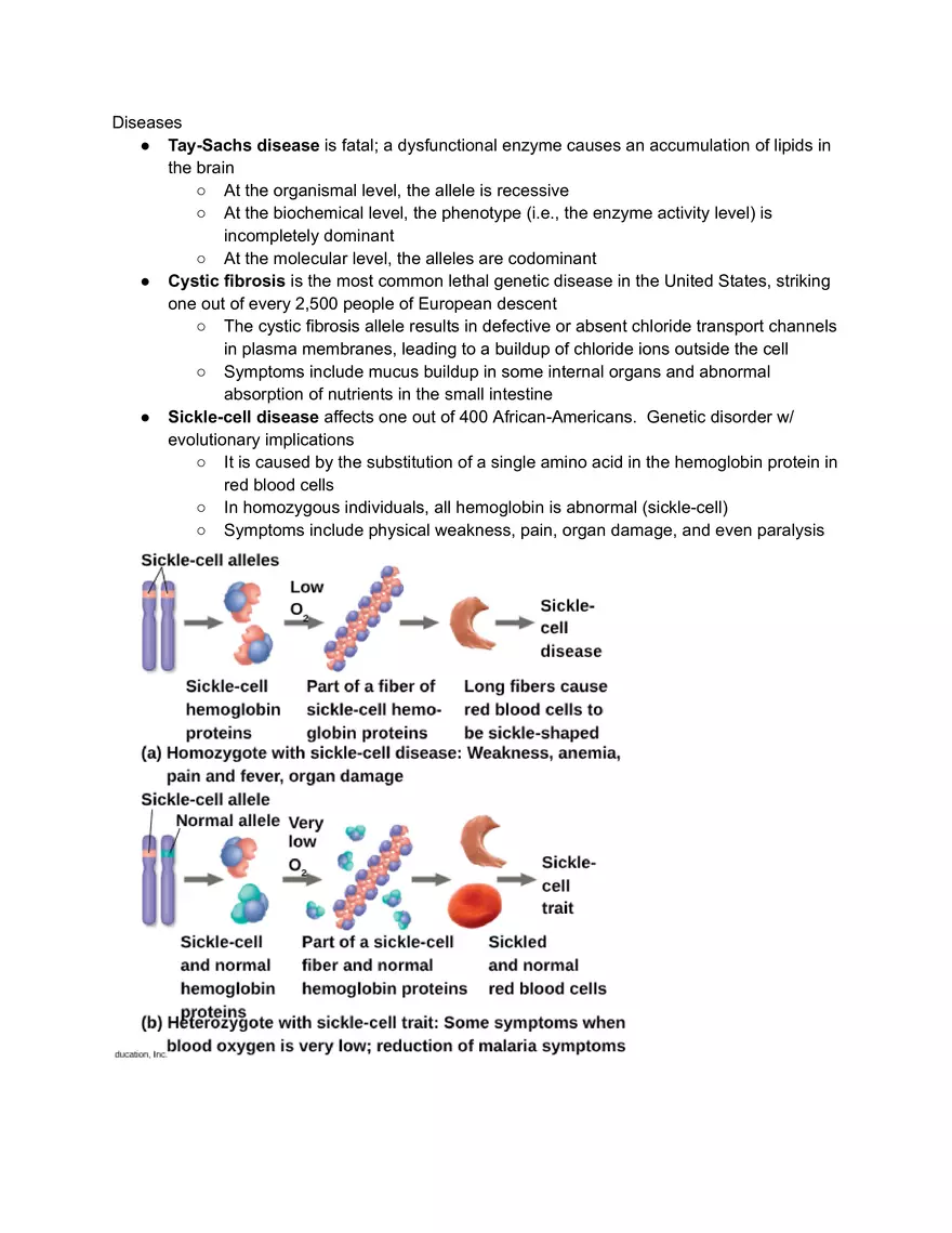 Meiosis and the Sexual Life Cycle - Page 23