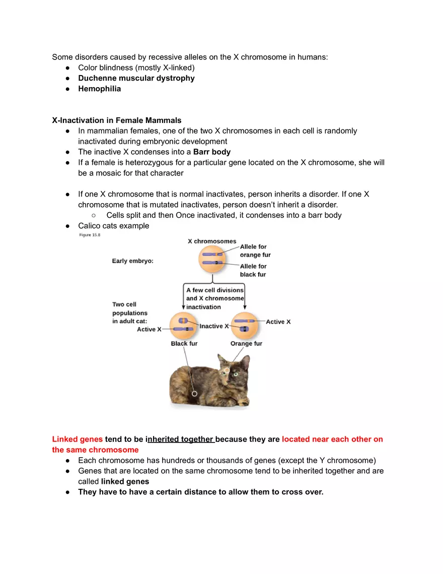 Meiosis and the Sexual Life Cycle - Page 29