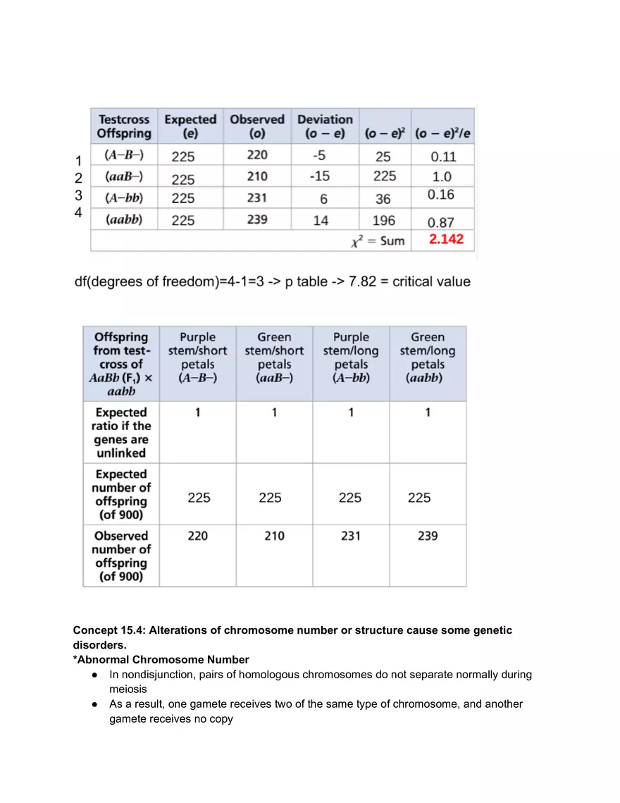 Meiosis and the Sexual Life Cycle - Page 31