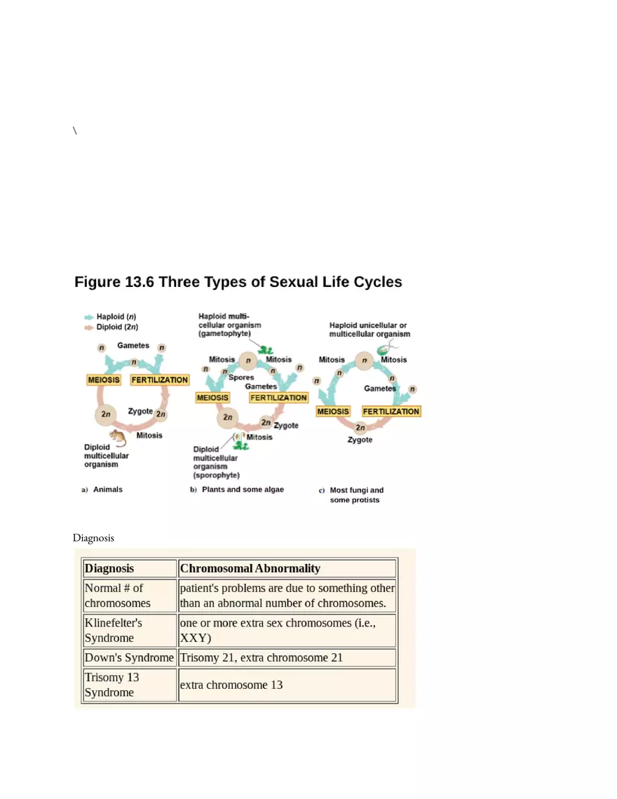 Meiosis and the Sexual Life Cycle - Page 37
