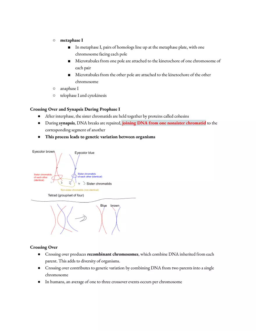 Meiosis and the Sexual Life Cycle - Page 41