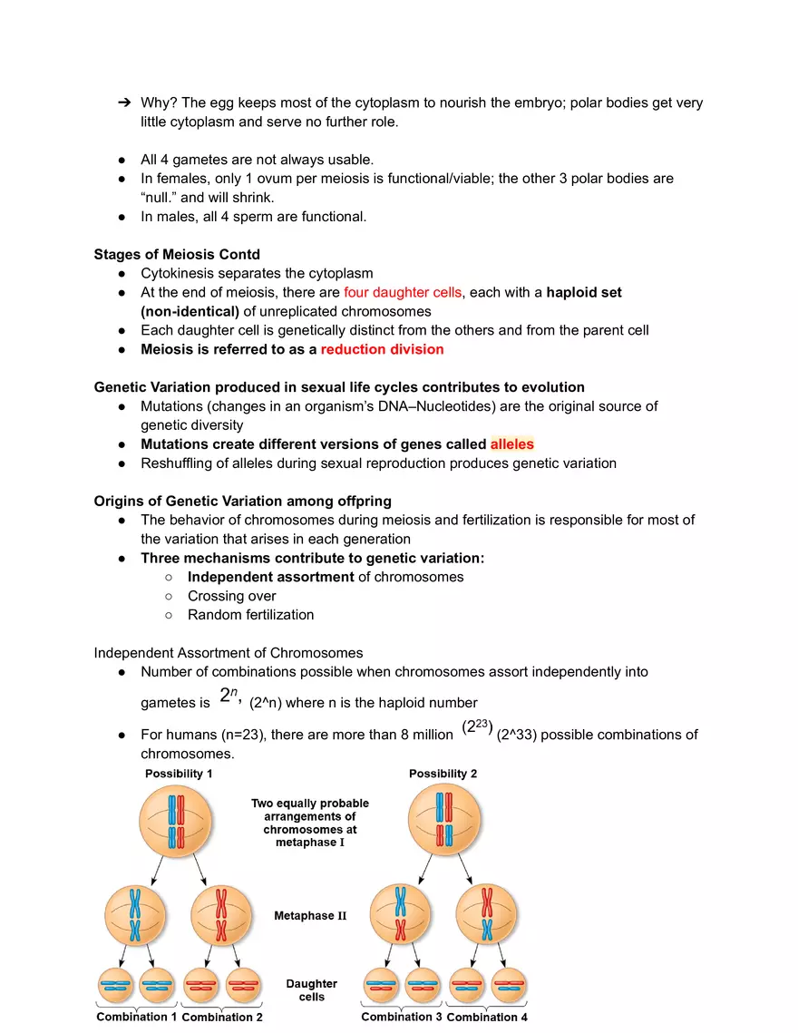 Meiosis and the Sexual Life Cycle - Page 6