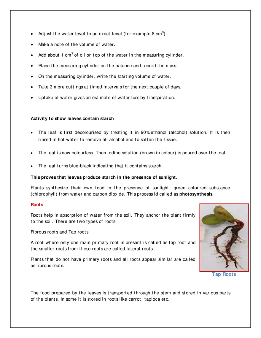 Parts of a Plant - Page 3