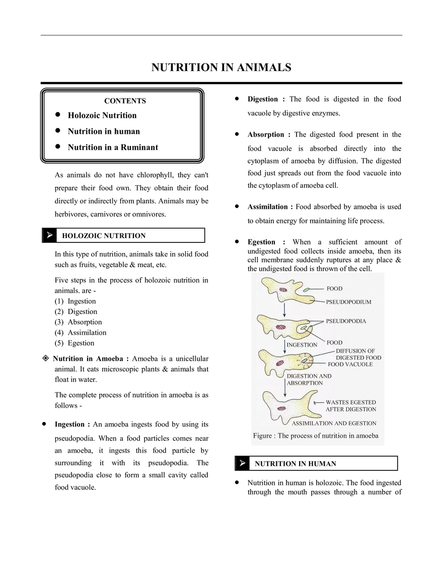 Nutrition in Animals Notes - Page 1