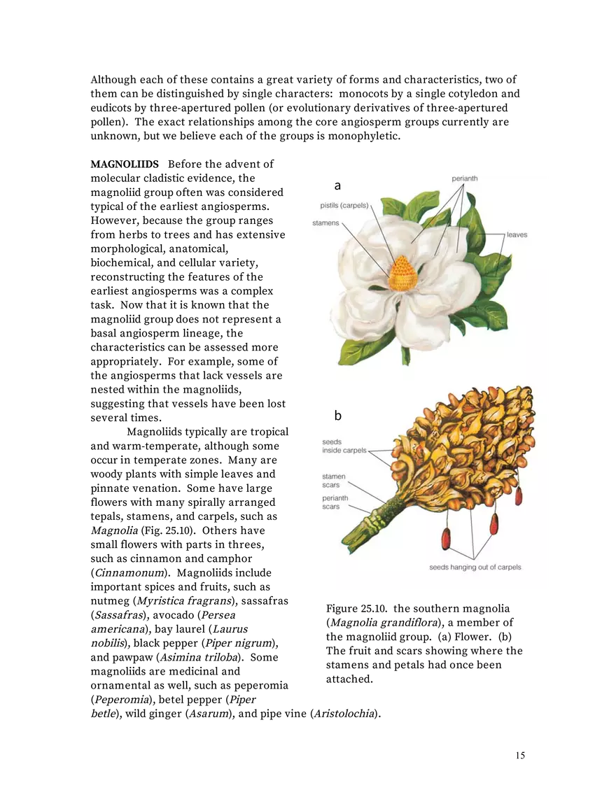 Chapter 25: Angiosperms - Page 7