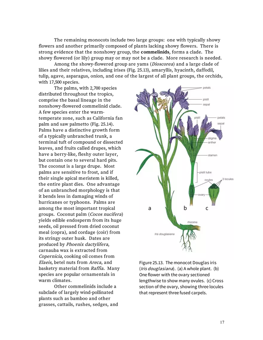 Chapter 25: Angiosperms - Page 9