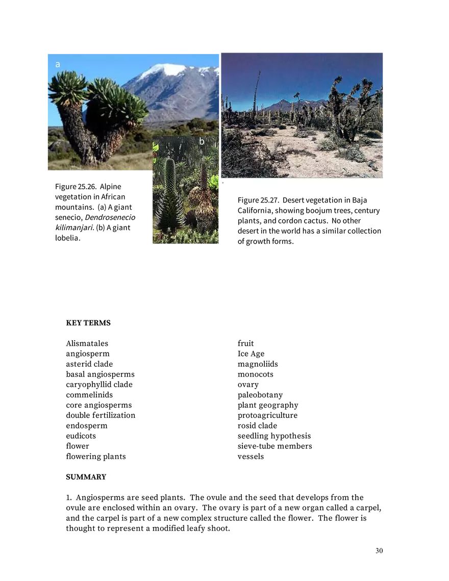 Chapter 25: Angiosperms - Page 23