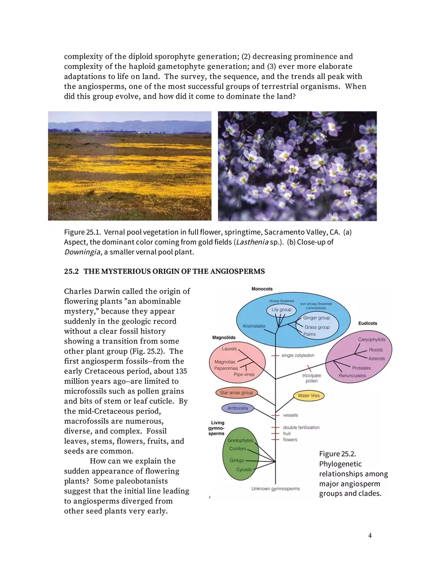 Chapter 25: Angiosperms - Page 24
