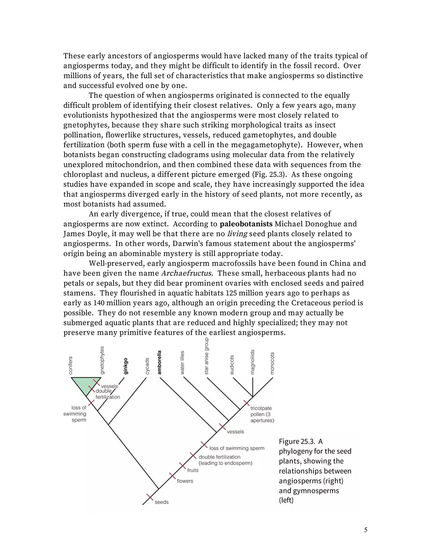 Chapter 25: Angiosperms - Page 32