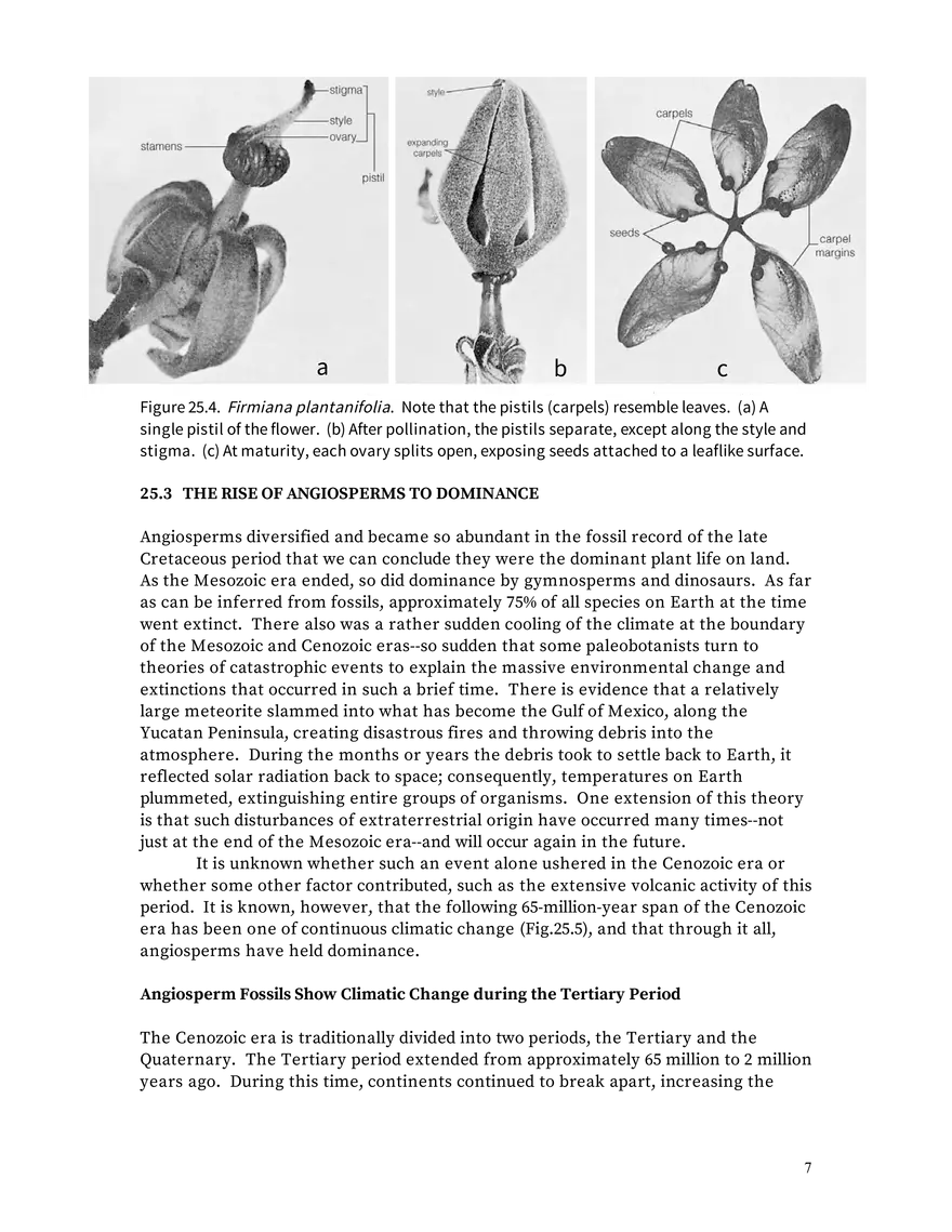 Chapter 25: Angiosperms - Page 34