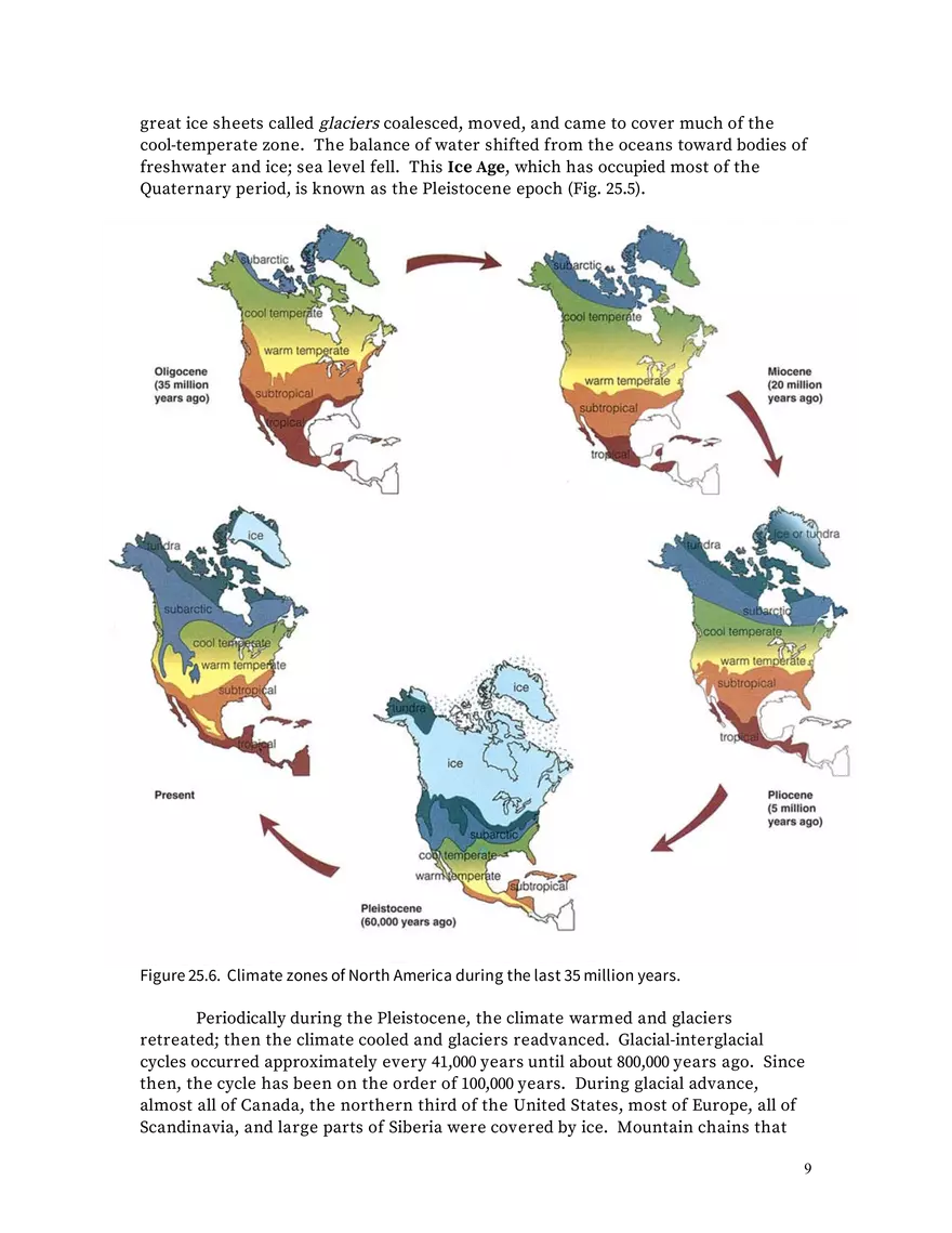 Chapter 25: Angiosperms - Page 36