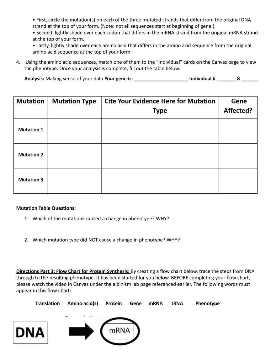 Albinism: From Genotype to Phenotype - Page 3