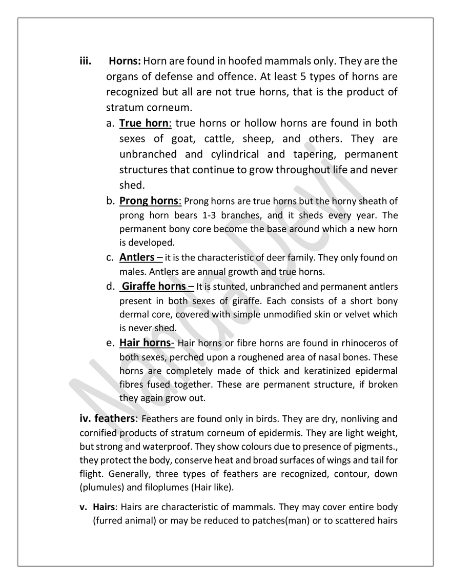 Integument And Its Derivatives In Vertibrates - Page 7