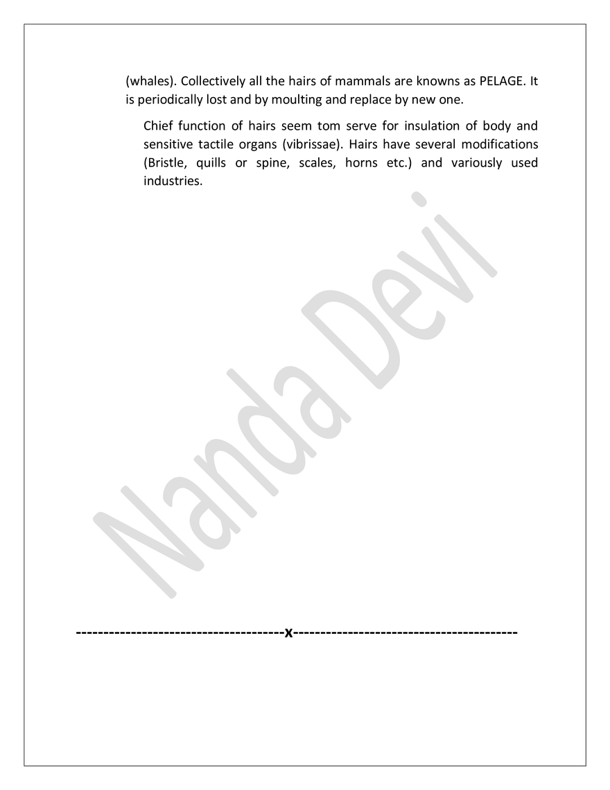 Integument And Its Derivatives In Vertibrates - Page 8