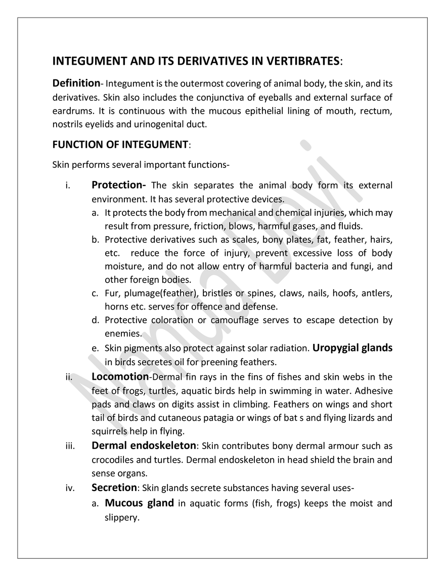 Integument And Its Derivatives In Vertibrates - Page 1