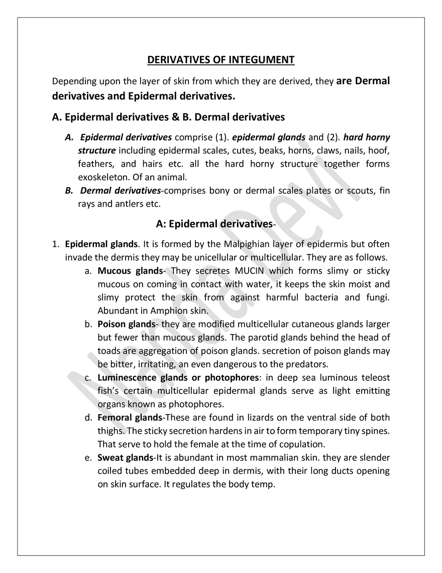 Integument And Its Derivatives In Vertibrates - Page 4