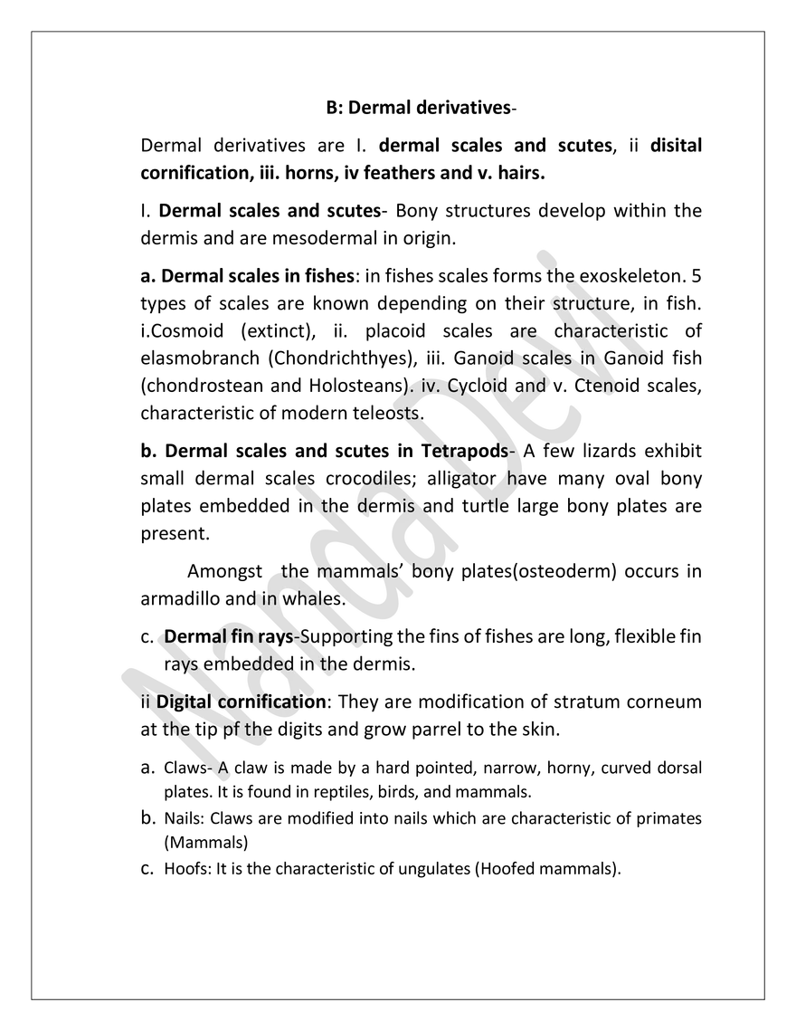 Integument And Its Derivatives In Vertibrates - Page 6