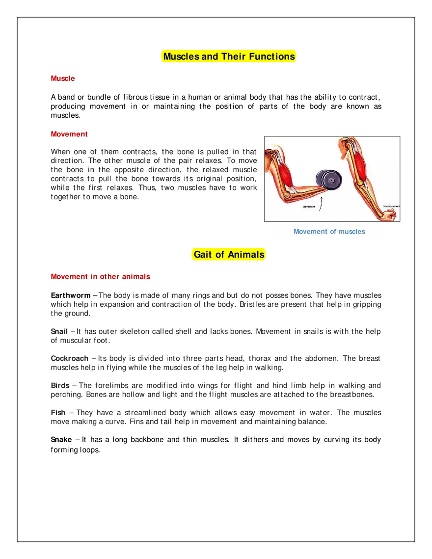 Muscles and Their Functions - Page 1