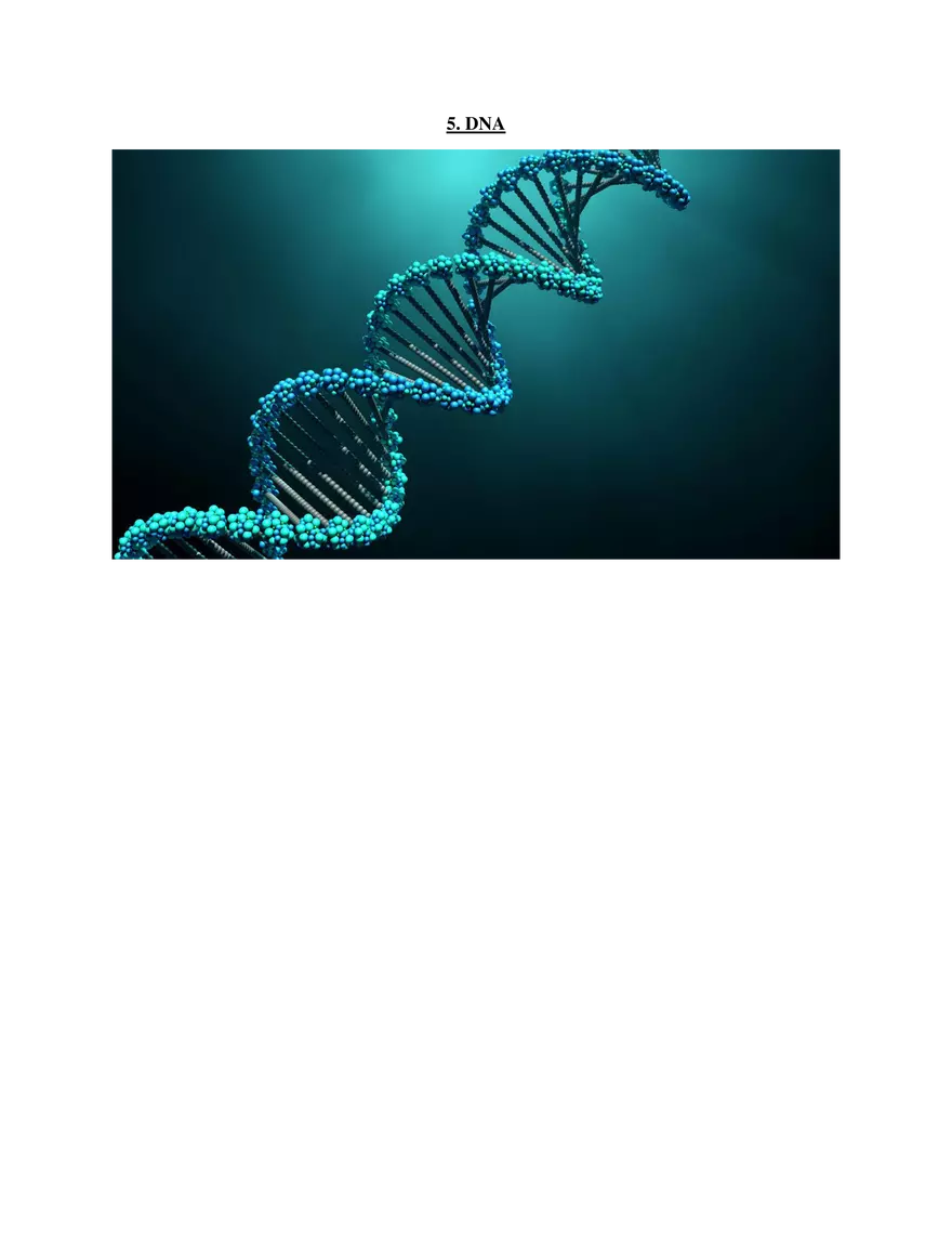5. DNA - Page 1