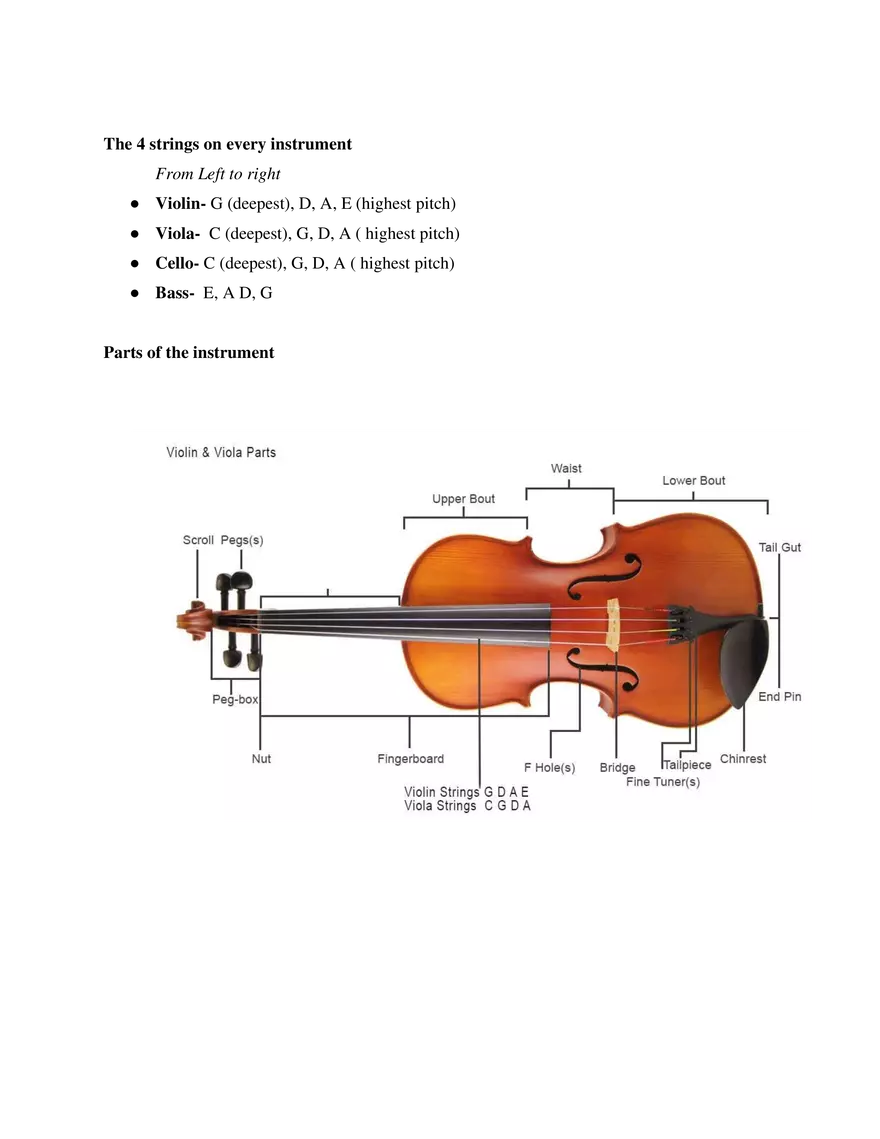 Orchestra Elective Study Guide - Page 2