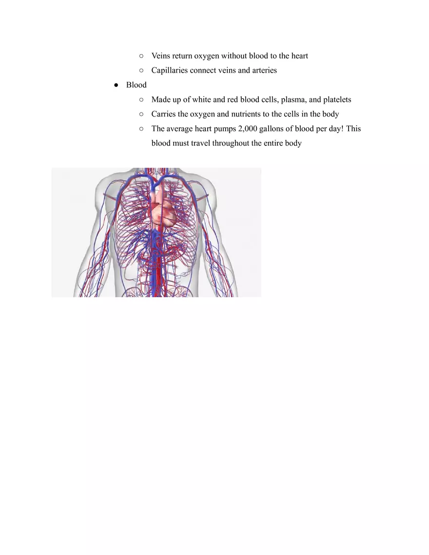 Body Systems - Page 8