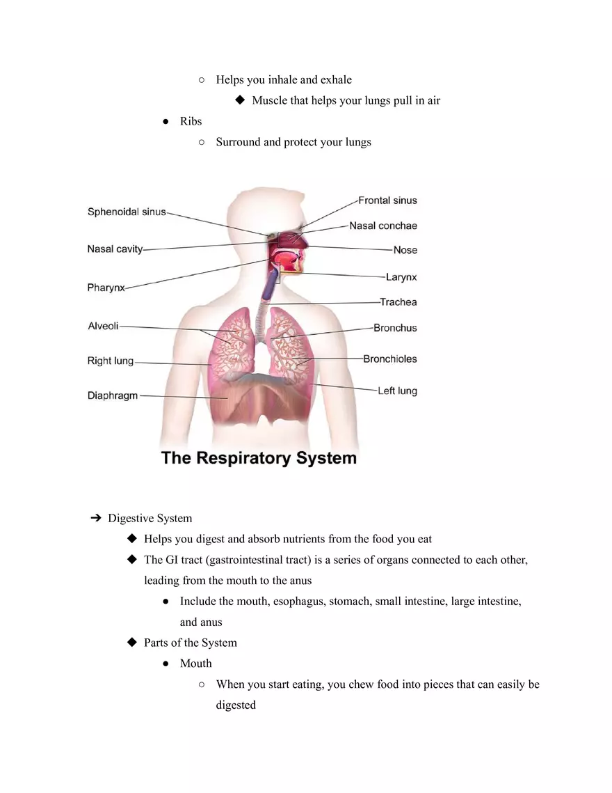 Body Systems - Page 2