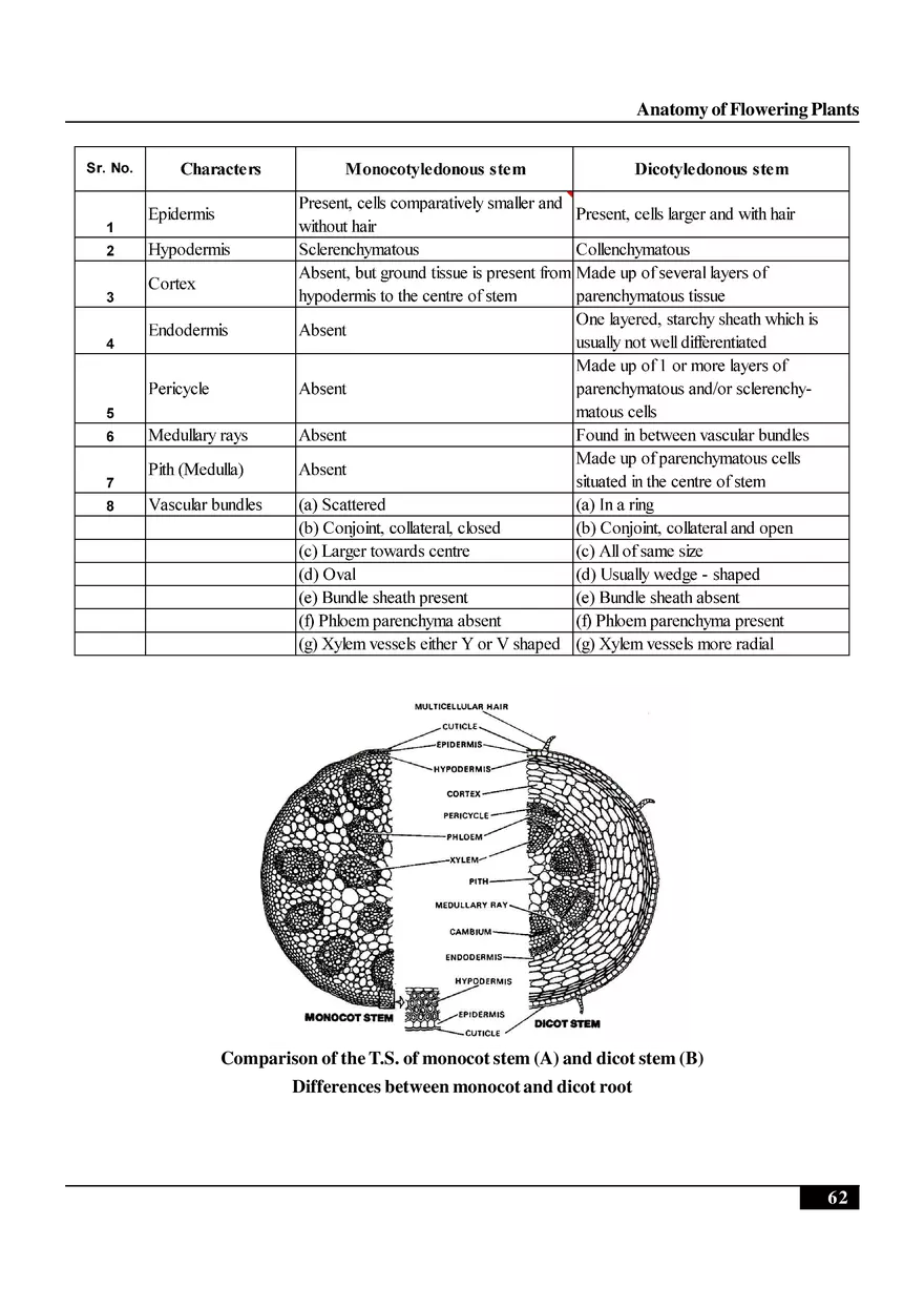Anatomy of Flowering Plants - Page 11