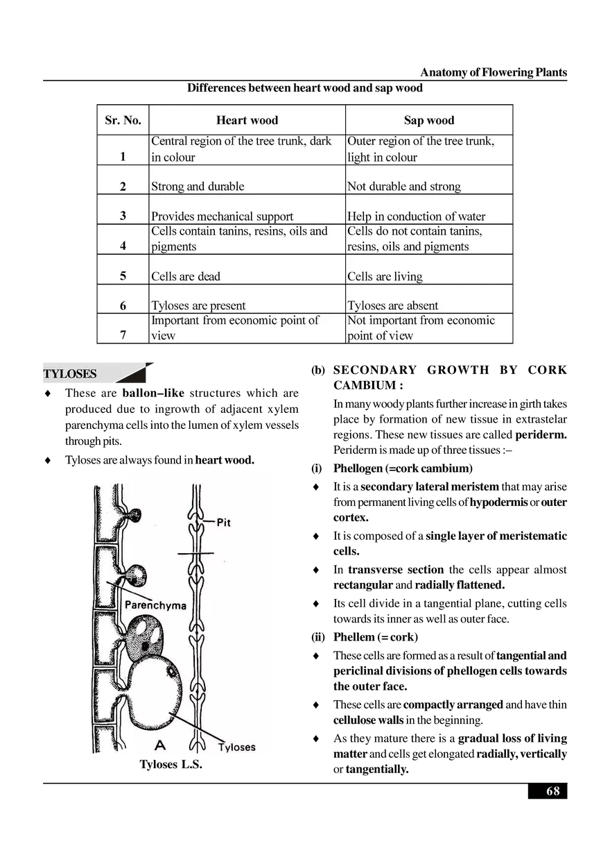 Anatomy of Flowering Plants - Page 18