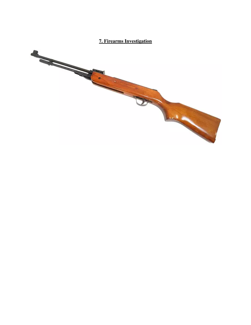 7. Firearms Investigation - Page 1