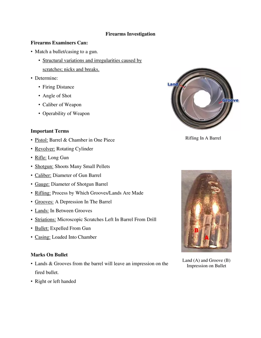 7. Firearms Investigation - Page 2