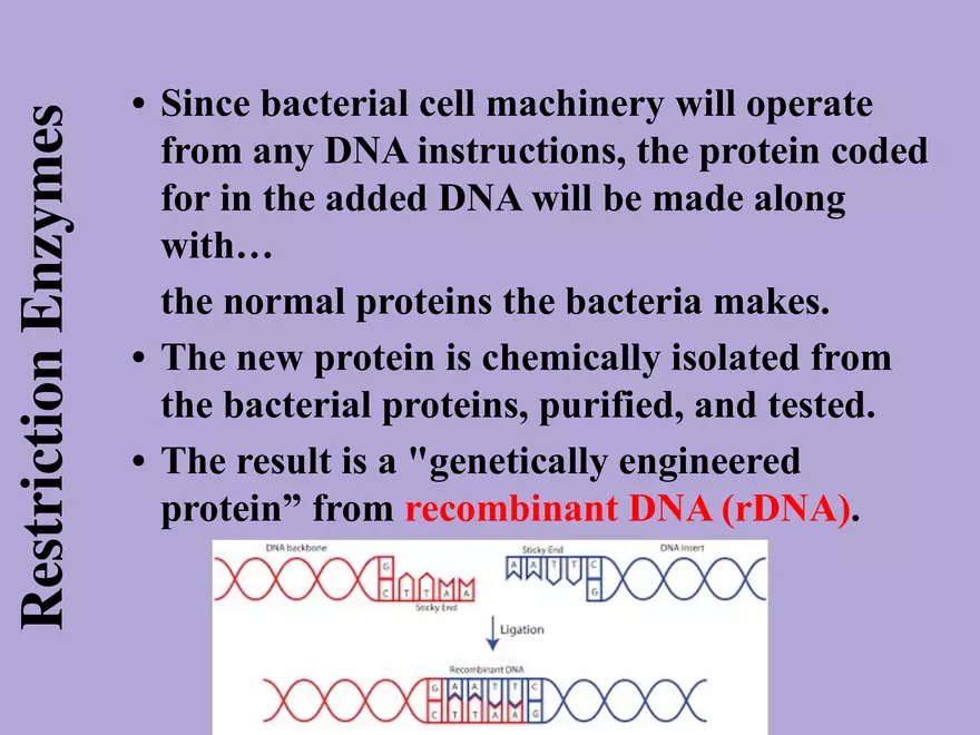 DNA Technology - Page 7