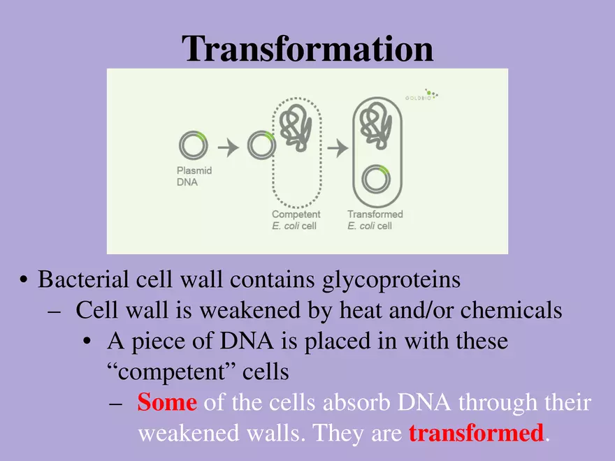 DNA Technology - Page 11