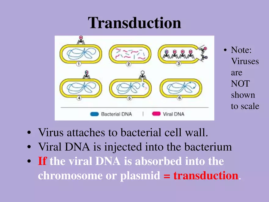 DNA Technology - Page 12