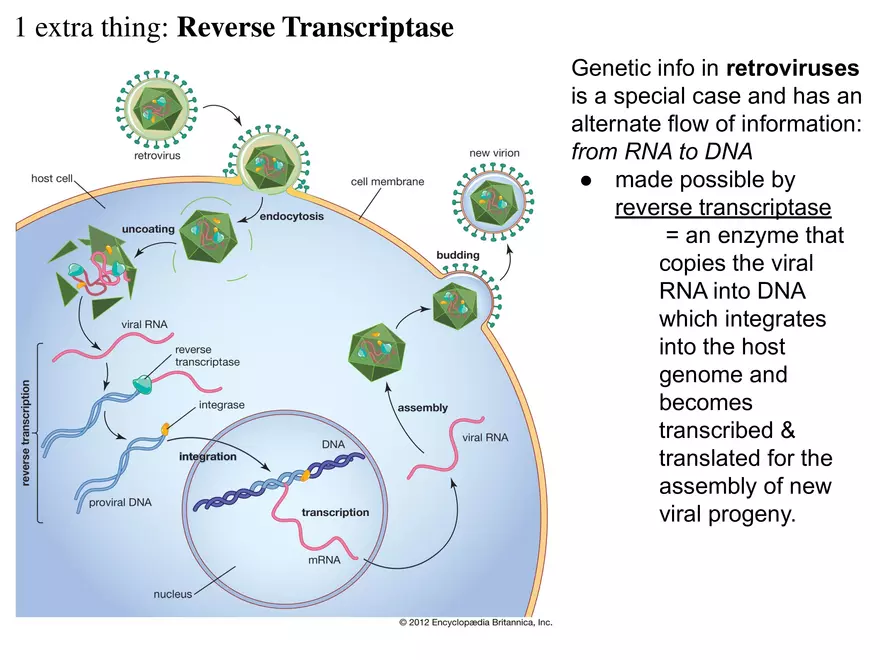 DNA Technology - Page 13
