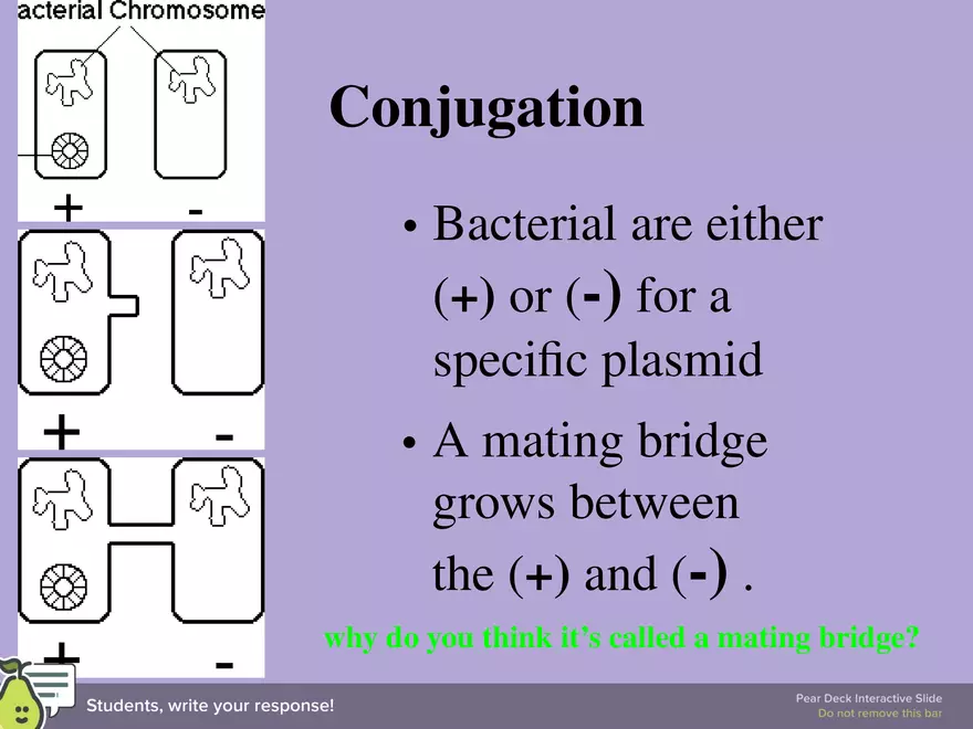DNA Technology - Page 14